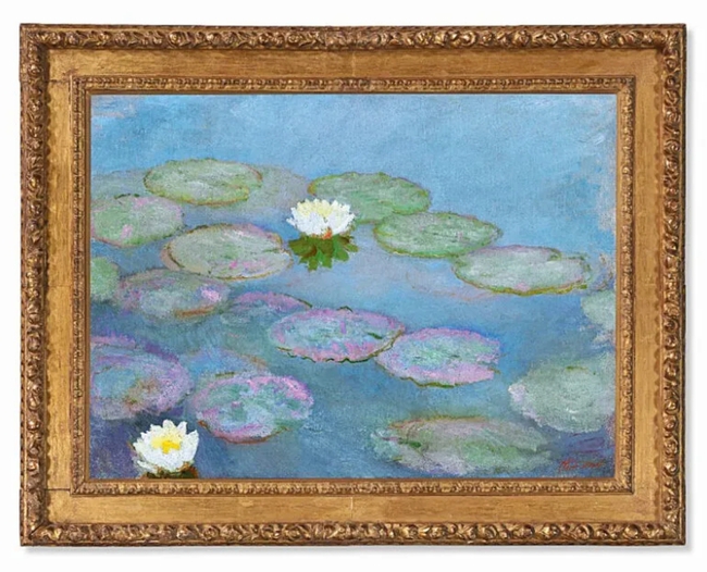 Tuyệt tác 'Hoa súng' của Claude Monet lần đầu lên bục đấu giá - Ảnh 1.